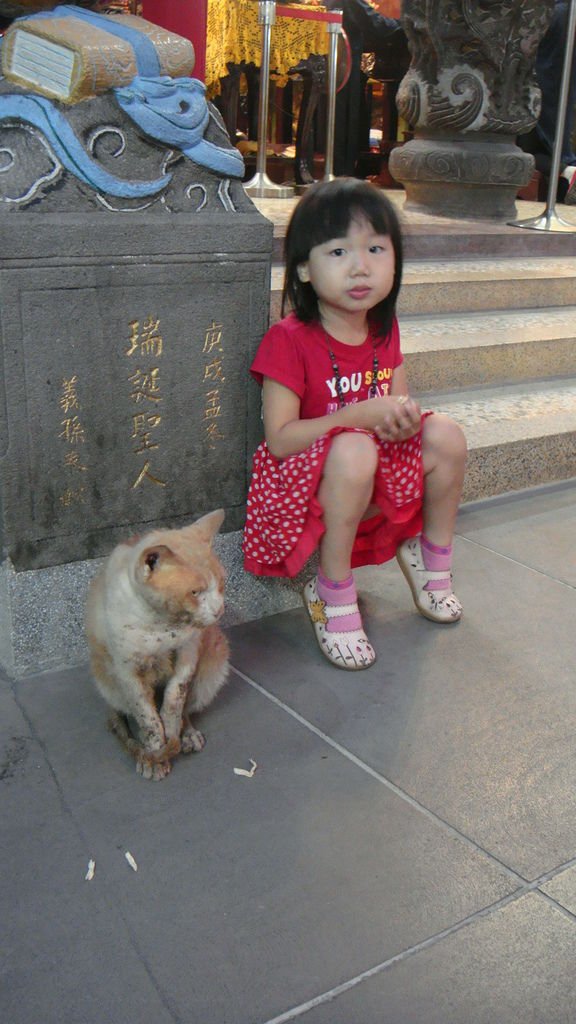 DSC08633.JPG