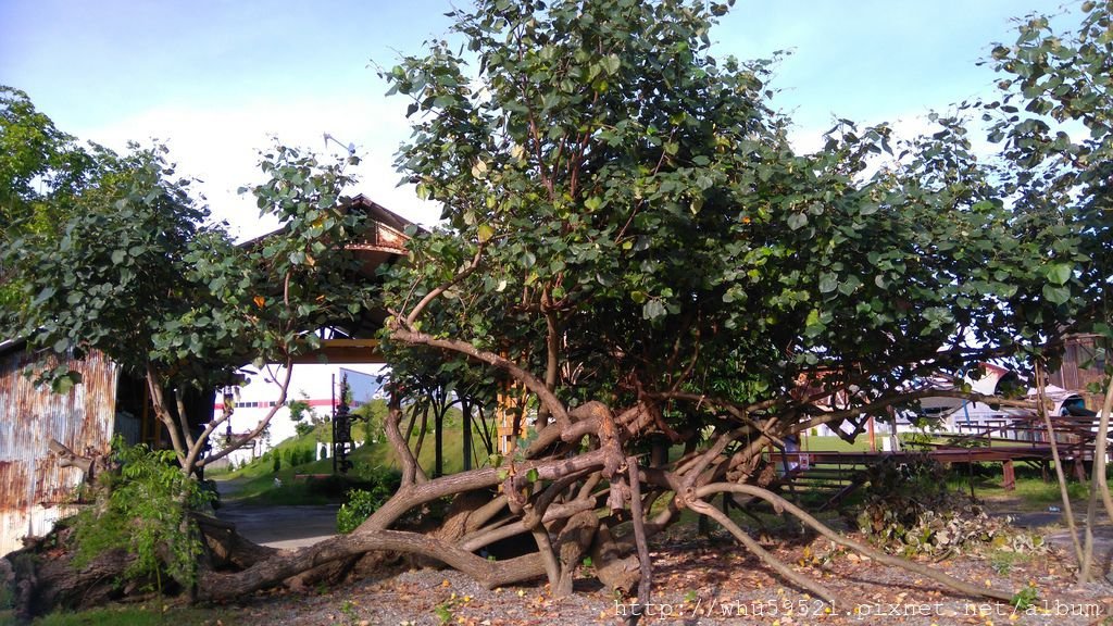 74.JPG