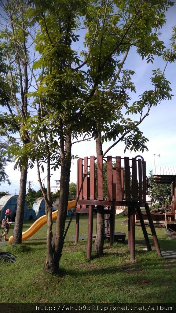 77.JPG