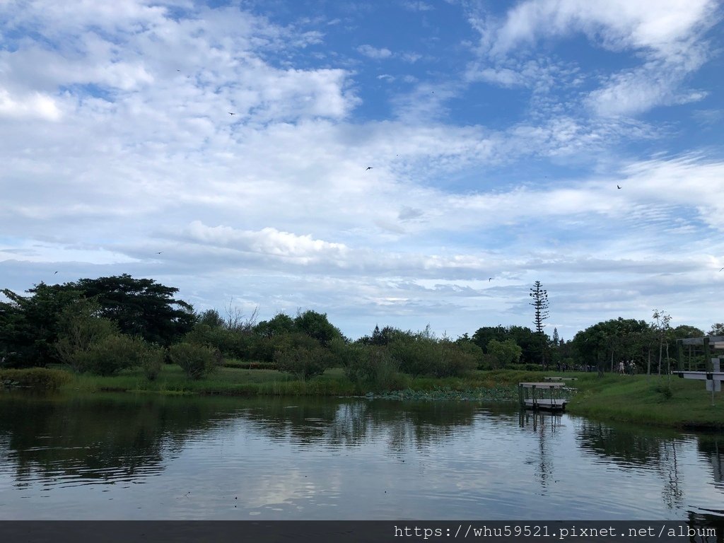 08-2021.8.3台東森林公園6.JPG