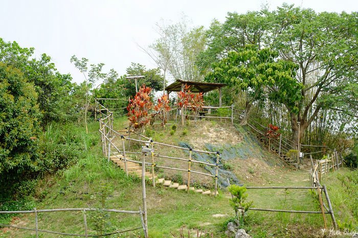 DSCF3080.jpg