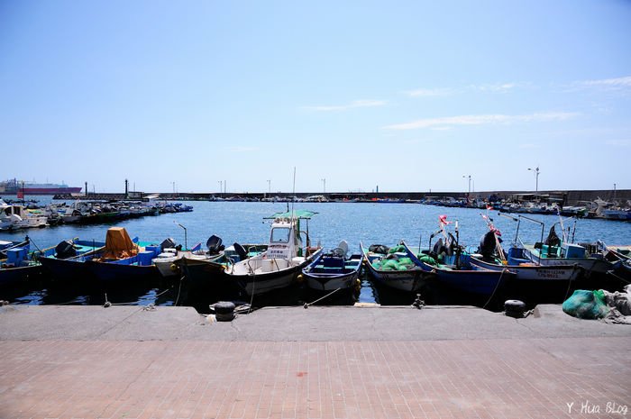 DSC_0102.jpg