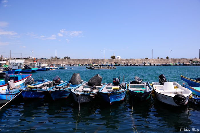 DSC_0106.jpg