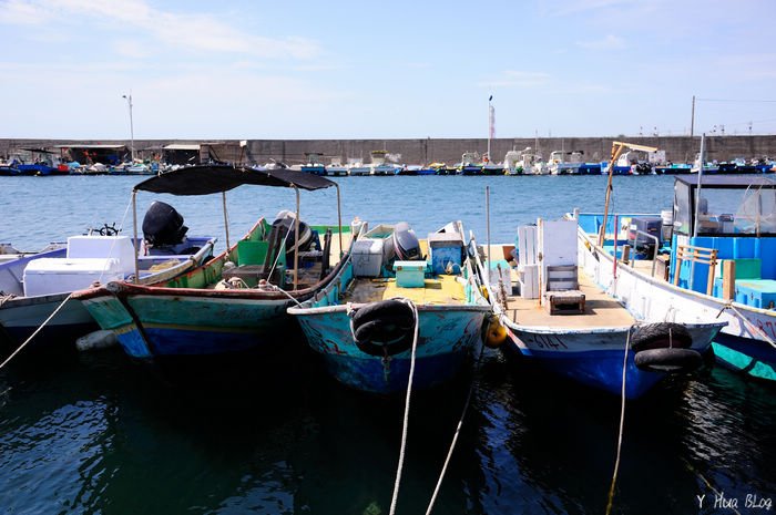 DSC_0110.jpg