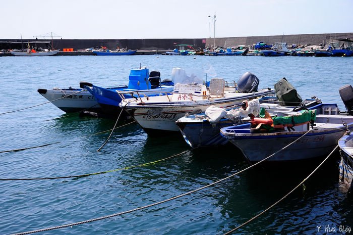 DSC_0113.jpg
