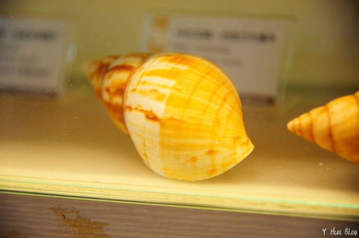 DSC_2306.jpg