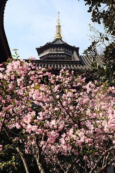 20180327-Hangzhou-003.jpg