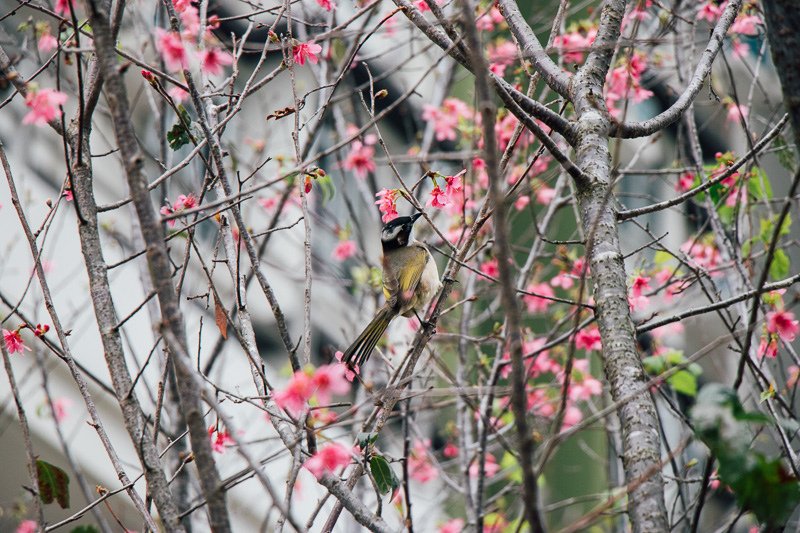 2019-02-05_2019-02-05_Canon EOS 77D_ontatestate_IMG_0140_blog.jpg