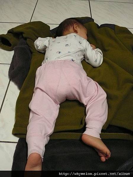 P1160381.JPG