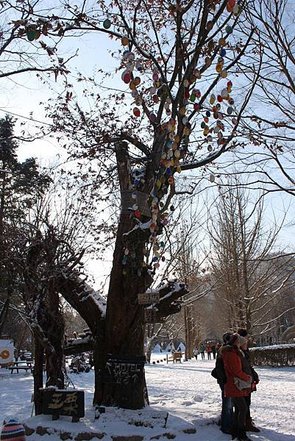 IMG_4200