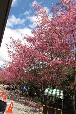 IMG_2714