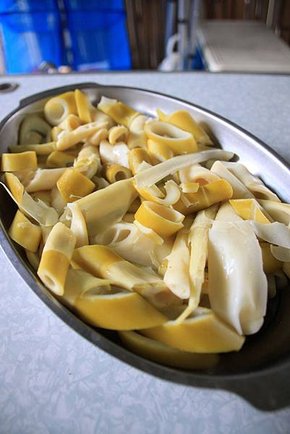 IMG_9513.JPG