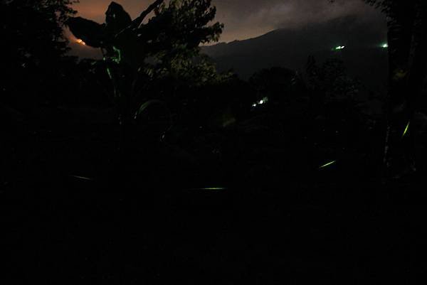 IMG_9532.JPG