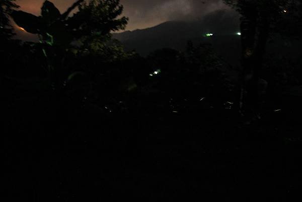 IMG_9533.JPG