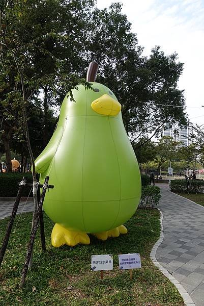 DSC04455.jpg