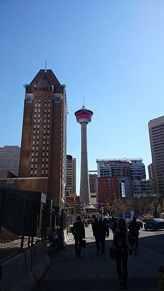 看得到Calgary tower