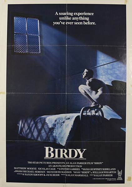 birdy poster.jpg