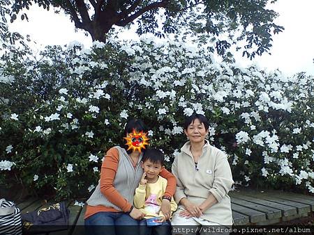 DSC00200-2