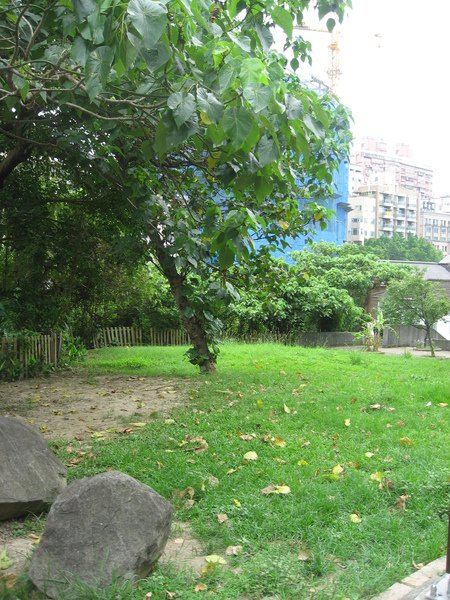 照片 010.jpg