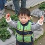 採草莓 19.jpg