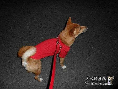 SAM_3901