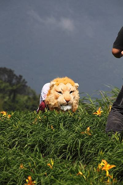 花東四日遊0192.JPG