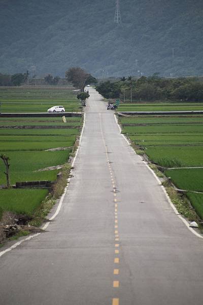 花東四日遊0218.JPG