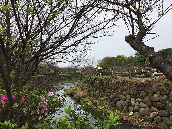 03112020-23.jpg