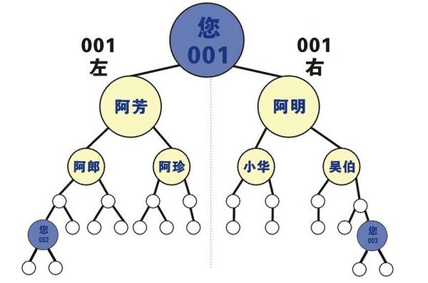 改良式雙軌制度