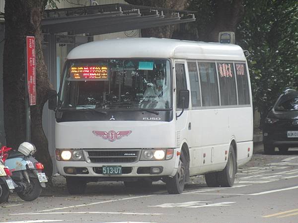 桃園客運 2014 Fuso Rosa BE641G 513