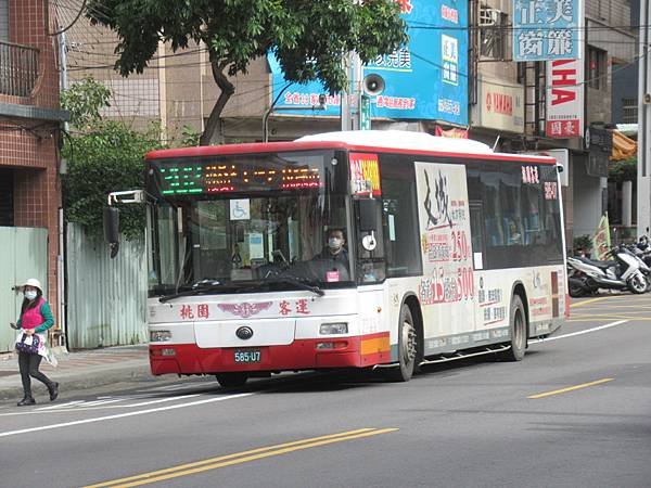 桃園客運 2015 YUTONG ZK6128HG 585-