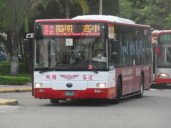 桃園客運 2015 YUTONG ZK6128HG 585-