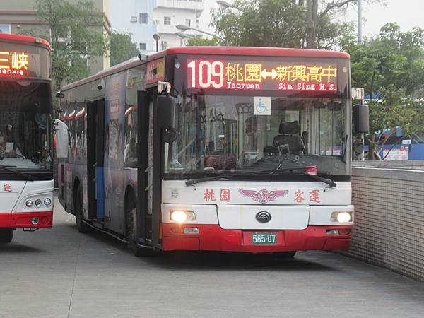 桃園市公車 109 桃園-新興高中