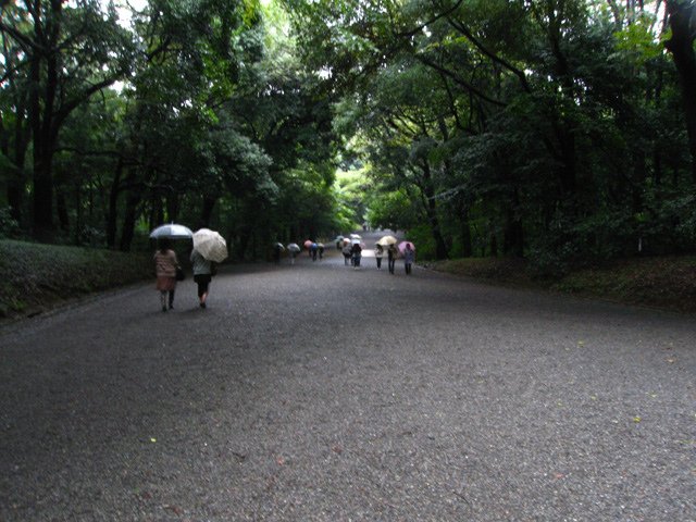 harajuku_meijijingu_sandou.jpg