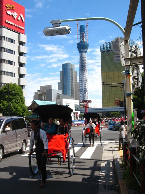 sky_tree.jpg