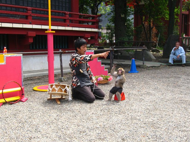 asakusa_jinjya_5.jpg