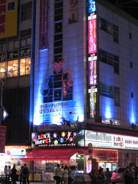 akihabara_street_4.jpg