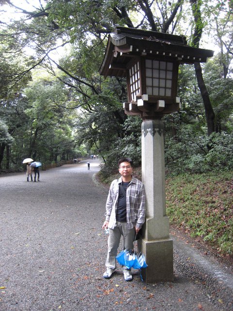 harajuku_meijijingu_akari.jpg