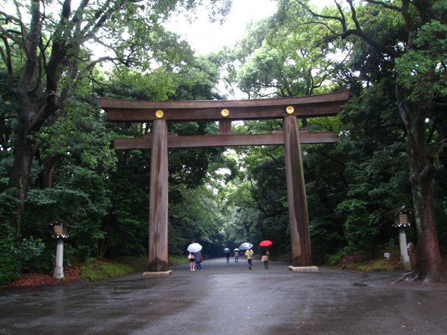 harajuku_meijijingu_torii.jpg