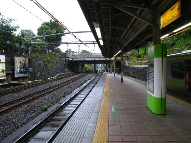 IMG_8208.jpg
