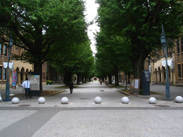 uot_parkway.jpg