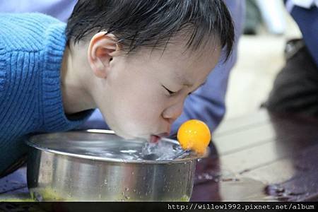 奶娃嘴須要有力氣協調好