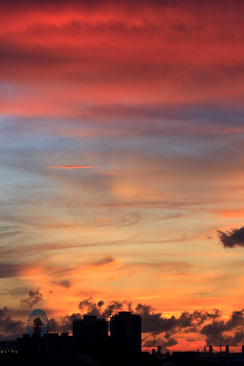 20100731-184748.jpg
