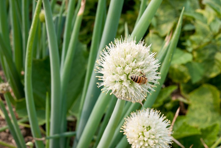 20110212_152455.jpg
