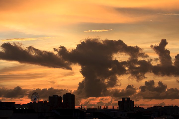 20100731-183948.jpg