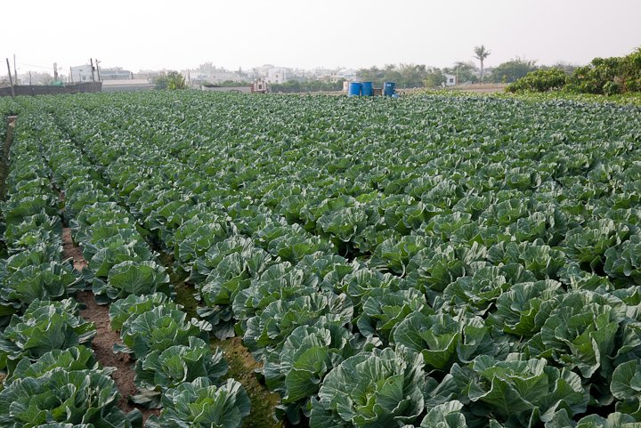 20110212_152320.jpg