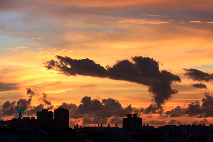 20100731-184454.jpg