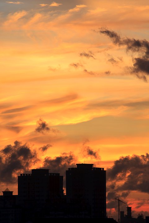 20100731-184603.jpg