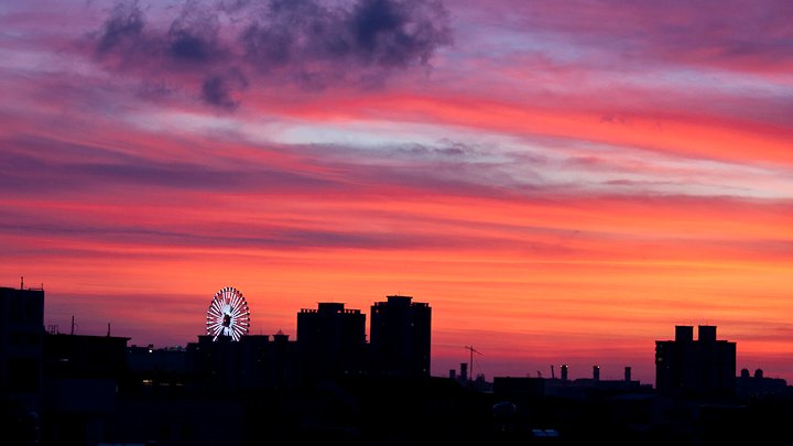 20100703-190535.jpg