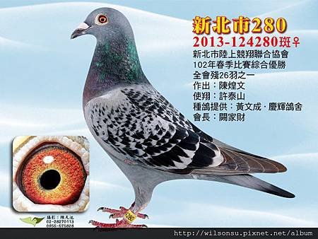 新北市2013-124280春陸